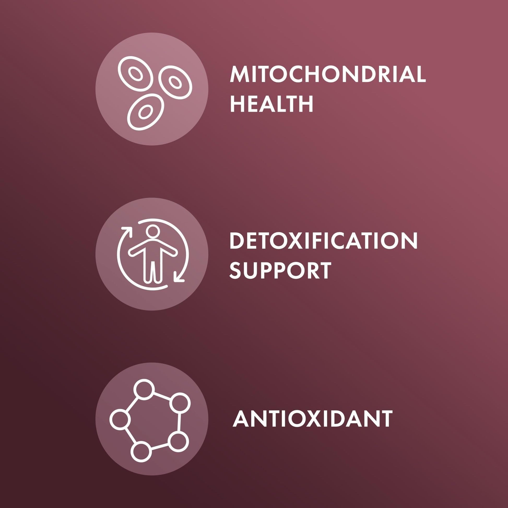 Dr. Mercola NAC with Milk Thistle - with Antioxidants - Supports Normal Detoxification Processes - 500 mg N-Acetyl-Cysteine per Serving - Non-GMO - Maple Wellness Supplements