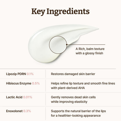 Dr. Reju-All Advanced PDRN Rejuvenating Lip Serum – Hydrating Lip Balm with Lipozip PDRN for Glowy, Dewy Lips - Maple Wellness Supplements