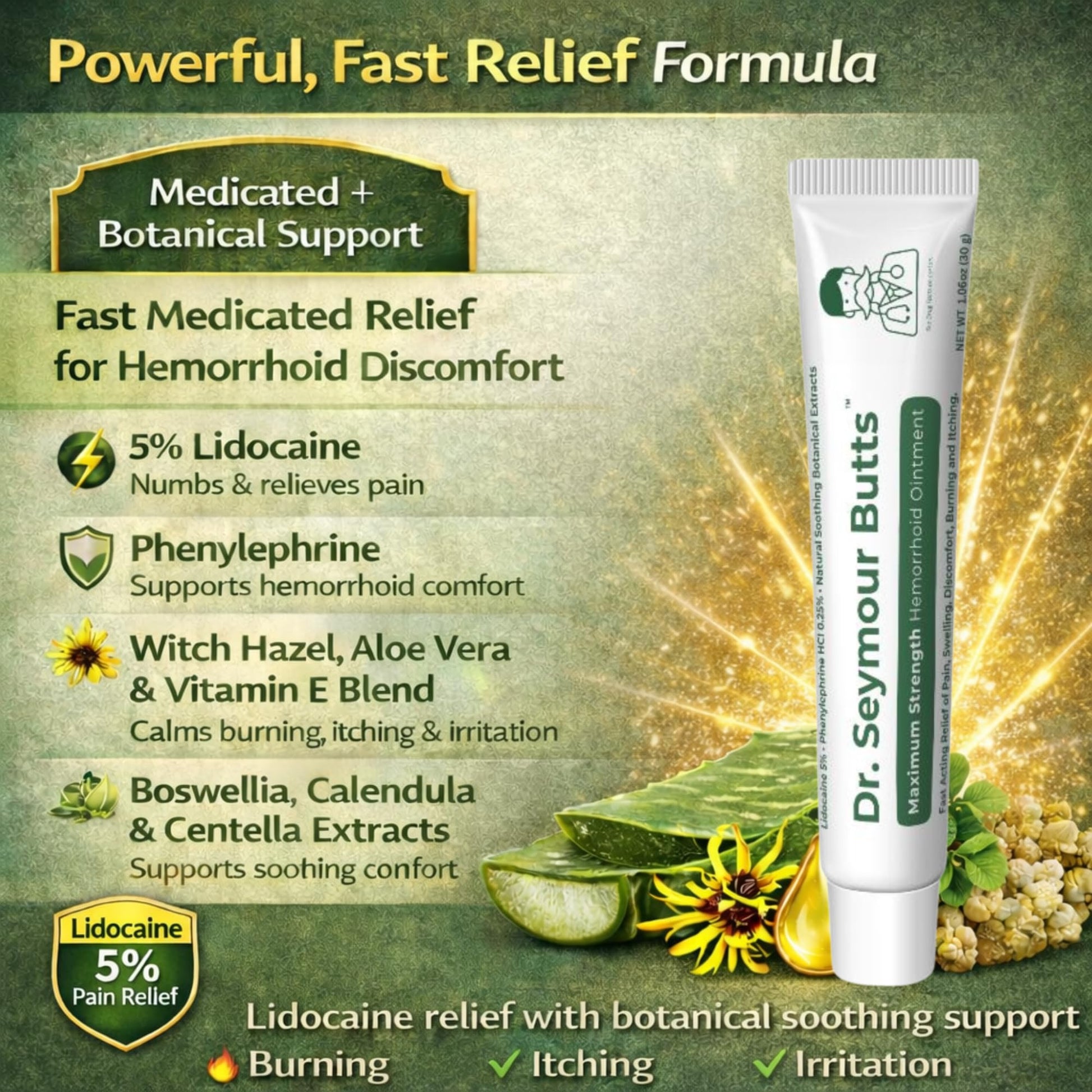 Dr. Seymour Butts Hemorrhoid Ointment – Lidocaine 5% Pain Relief for Burning, Itching & Irritation | External Hemorrhoid Care with Witch Hazel, Aloe & Botanical Support - Maple Wellness Supplements