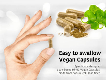 DR WAKDE'S Cardamom Capsules (60 Veg Caps, Plant-Based Supplement, Ayurvedic Herb, All Natural, Vegan) - Maple Wellness Supplements