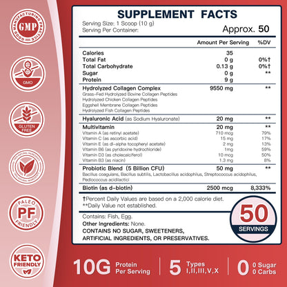 DRFOSTER Multi-Collagen-Peptide-Powder with Probiotics, 50 Servings of Hydrolyzed Collagen Peptides with Hyaluronic Acid, Biotin & Multivitamins - Supports Skin, Hair, Nails Health - Maple Wellness Supplements