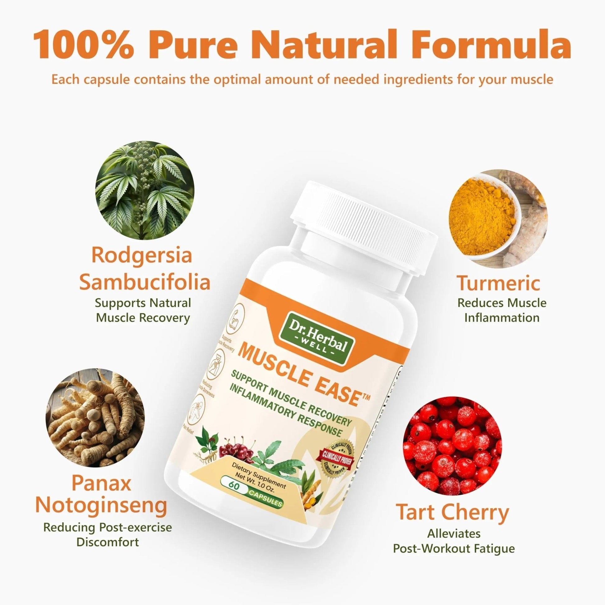 DR.HERBAL WELL Muscle Ease - Joint, Muscle & Nerve Support Fast Acting Relax Comfort Recovery Natural Herbal Supplement - (60 Capsules) MAX-Strength - Maple Wellness Supplements