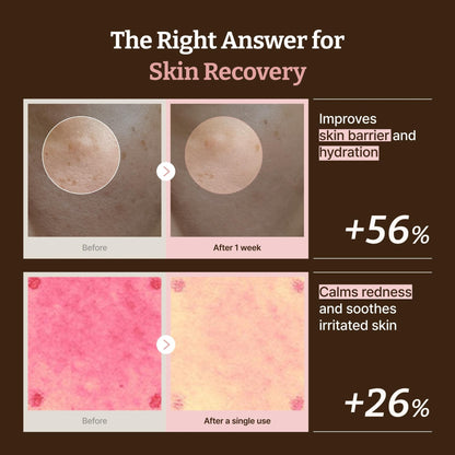 Dr.Reju-All Advanced PDRN Rejuvenating Cream Max – 99% Pure Salmon DNA Gel Type Face Moisturizer – Optimal 1200ppm for Glass Skin & Plumping – Korean Pharmacy Anti-Aging Skin Care Face Cream -2 Fl Oz - Maple Wellness Supplements