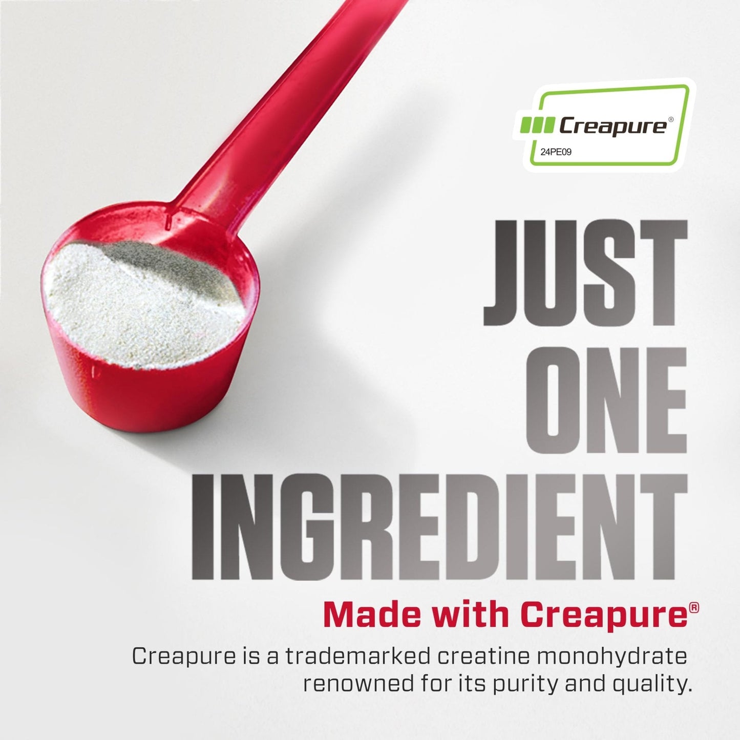 Dymatize 100% Creatine Monohydrate with CREAPURE, 5g Per Serving, 60 Servings (300g), Creatine for Women and Men, Gluten Free - Maple Wellness Supplements