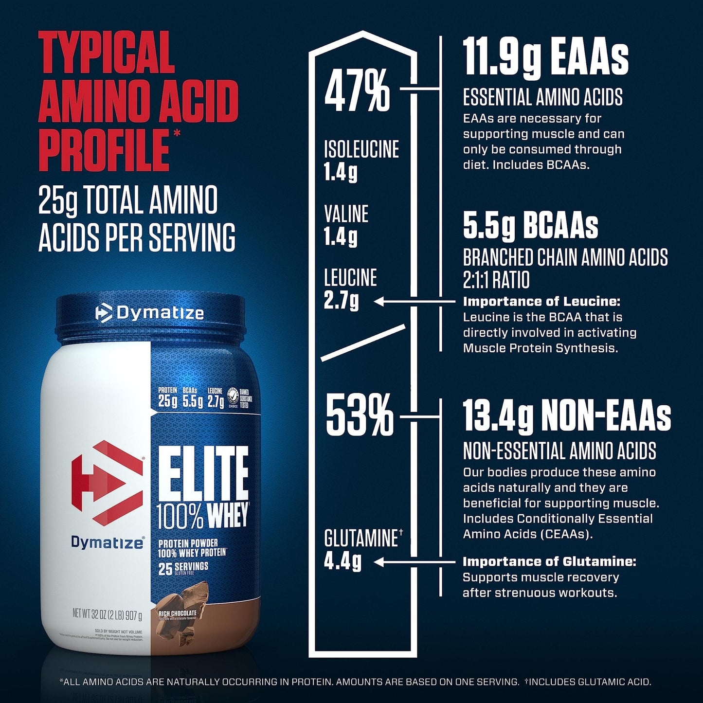 Dymatize Elite 100% Whey Protein Powder, 25g Protein, 5.5g BCAAs & 2.7g L-Leucine - Maple Wellness Supplements