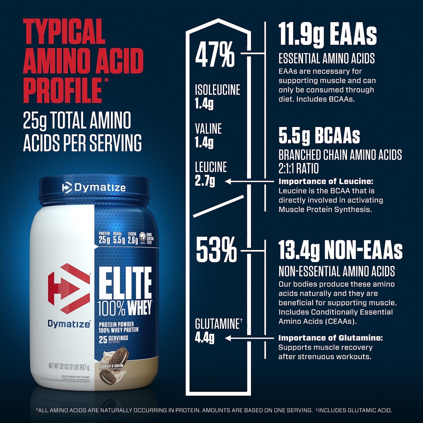 Dymatize Elite 100% Whey Protein Powder, Quick Absorbing & Fast Digesting for Optimal - Maple Wellness Supplements