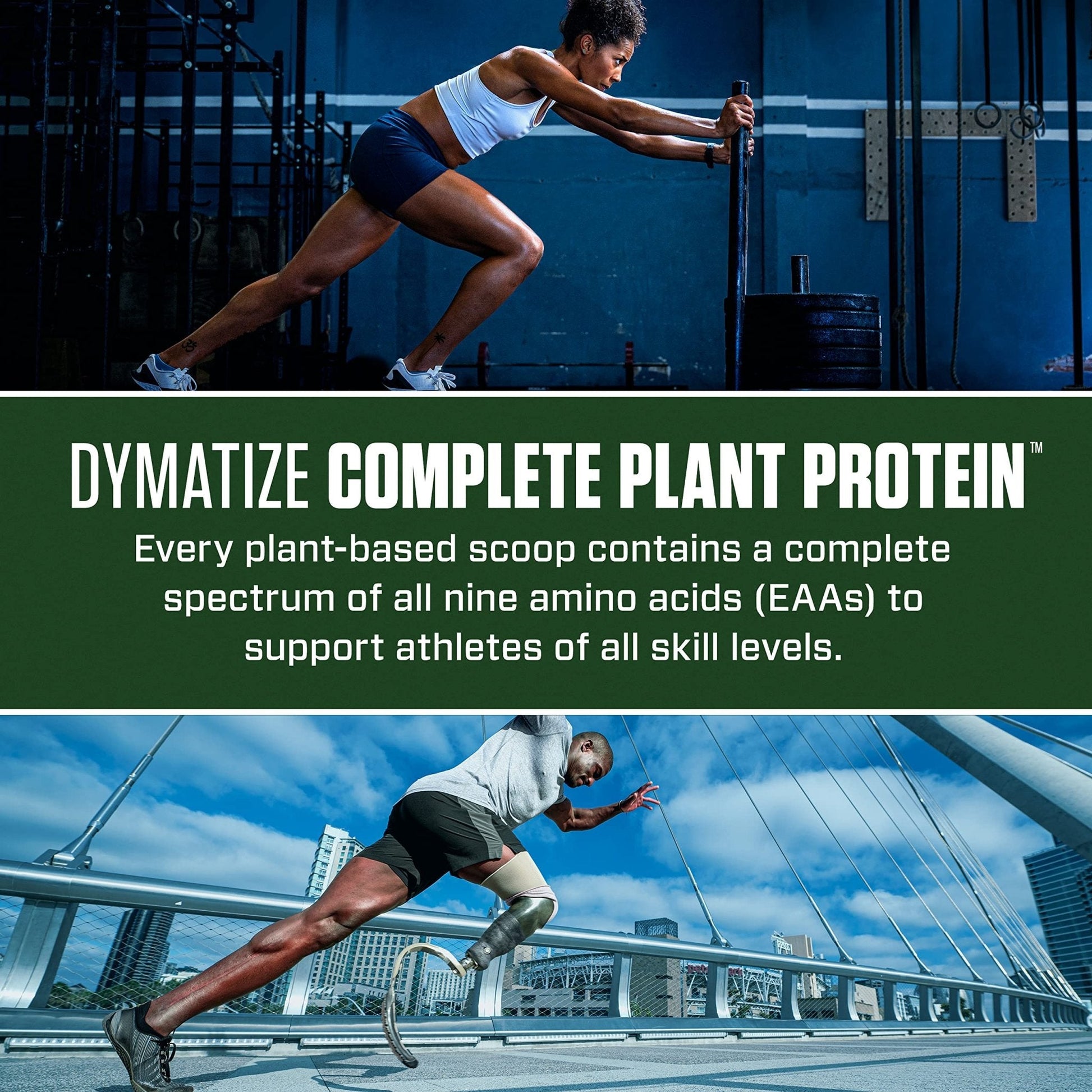 Dymatize Vegan Plant Protein, Creamy Chocolate, 25g Protein, 4.8g BCAAs, Complete - Maple Wellness Supplements