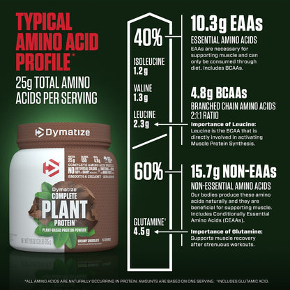 Dymatize Vegan Plant Protein, Creamy Chocolate, 25g Protein, 4.8g BCAAs, Complete - Maple Wellness Supplements