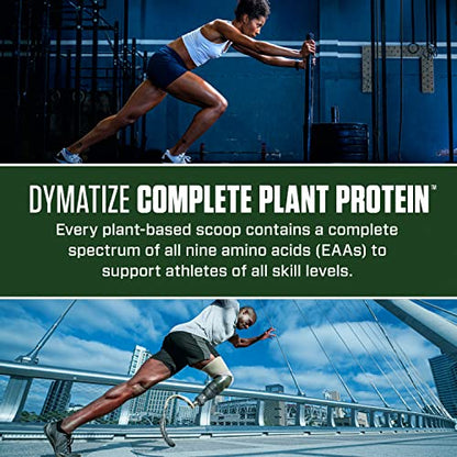 Dymatize Vegan Plant Protein, Smooth Vanilla, 25g Protein, 4.8g BCAAs, Complete - Maple Wellness Supplements