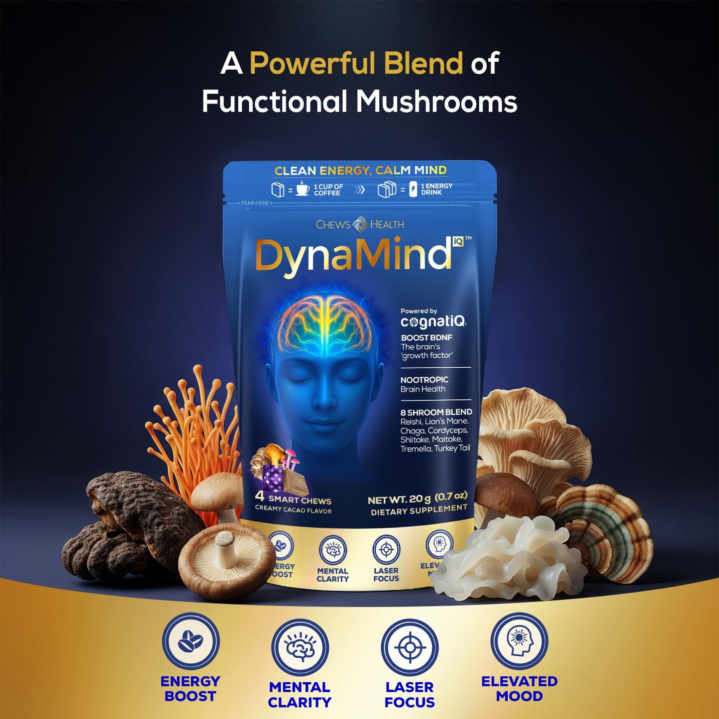 DynaMind iQ Brain Supplement for Memory and Focus for Adults - Nootropic Chews | Coffee Fruit & Mushroom Supplement Blend, Memory Focus Supplement, Caffeine Focus Pills Alternative, 4 Count - Maple Wellness Supplements