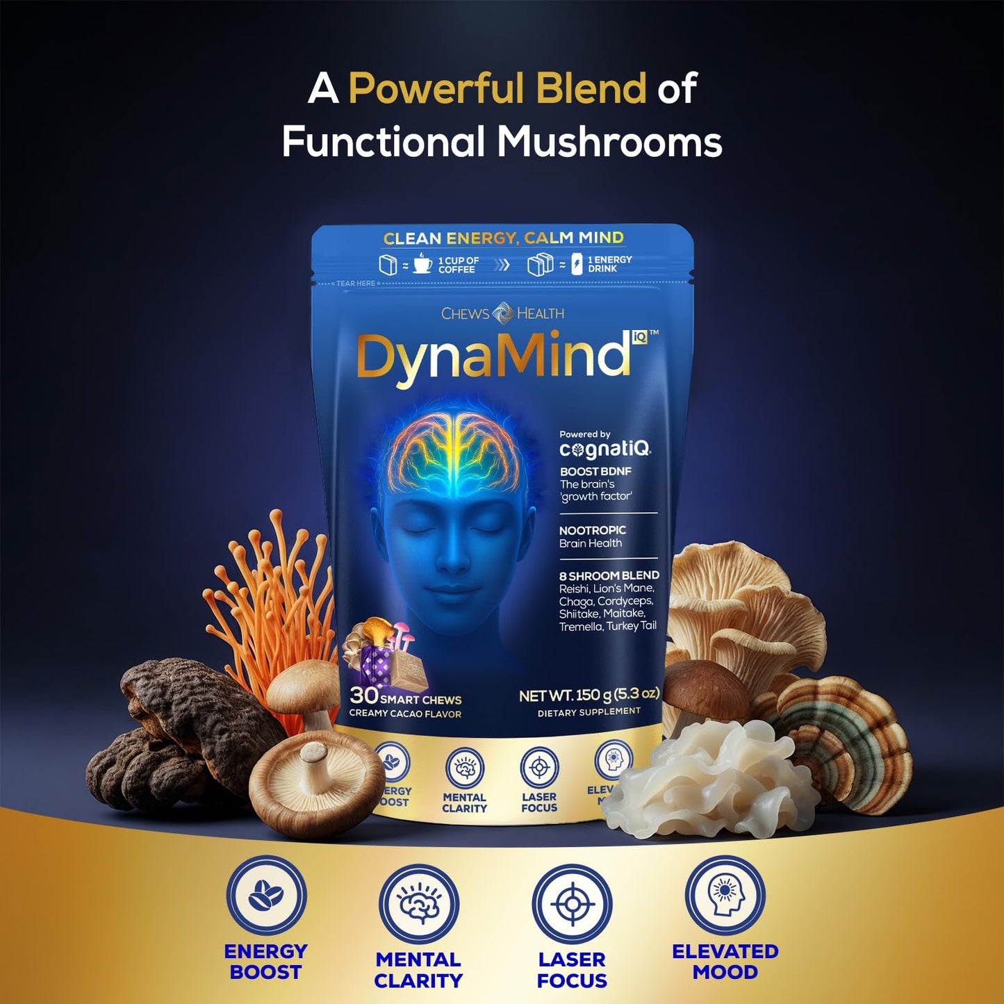 DynaMind iQ Brain Supplement for Memory and Focus for Adults - Nootropic Chews | Coffee Fruit & Mushroom Supplement Blend, Memory Focus Supplement, Caffeine Focus Pills Alternative, 30 Count - Maple Wellness Supplements