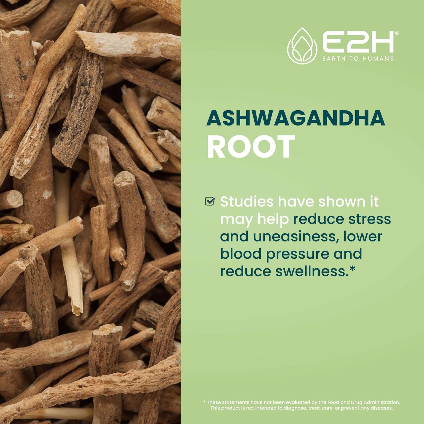 E2H Ashwagandha Liquid Drops - All-Natural Ashwagandha Supplement for Stress Relief and Mood Enhancer- Organic Ashwagandha Root Extract Effective Cortisol Manager | Non-GMO, Vegan | 2 Fl Oz - Maple Wellness Supplements