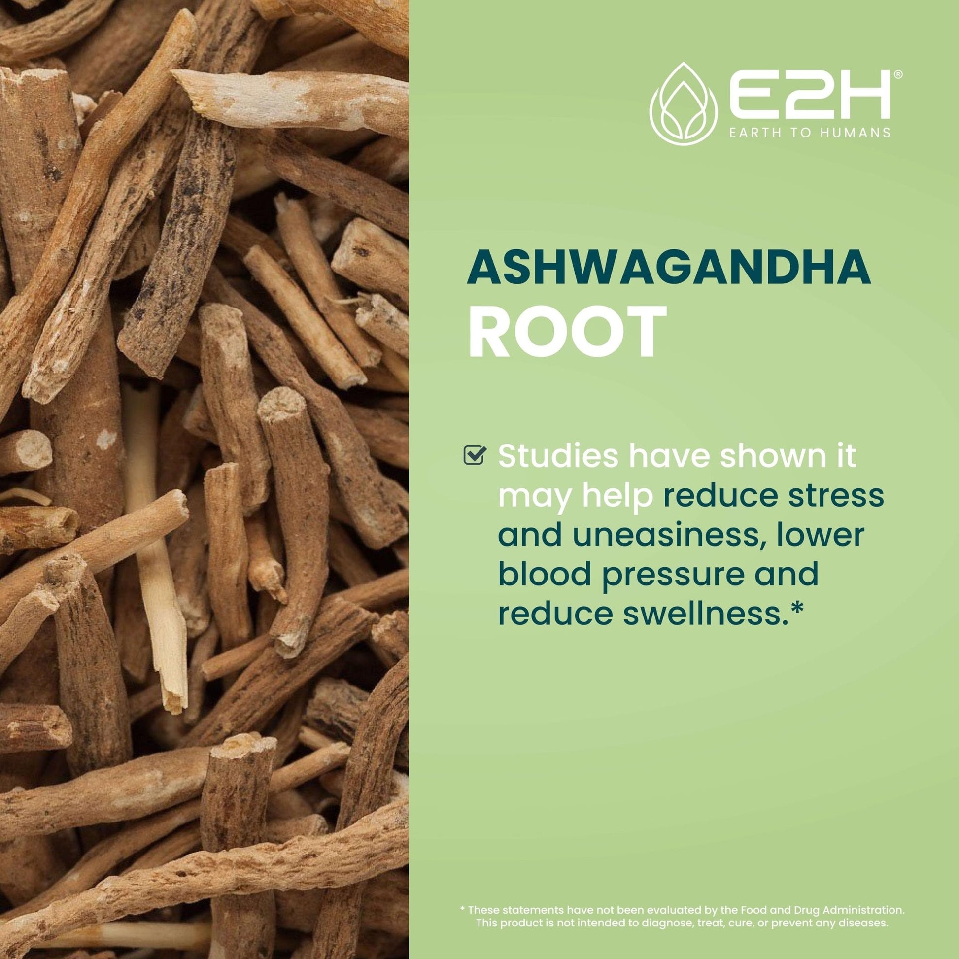 E2H Ashwagandha Liquid Drops - All-Natural Ashwagandha Supplement for Stress Relief and Mood Enhancer- Organic Ashwagandha Root Extract Effective Cortisol Manager | Non-GMO, Vegan | 2 Fl Oz - Maple Wellness Supplements