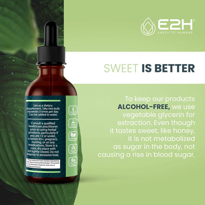 E2H Ashwagandha Liquid Drops - All-Natural Ashwagandha Supplement for Stress Relief and Mood Enhancer- Organic Ashwagandha Root Extract Effective Cortisol Manager | Non-GMO, Vegan | 2 Fl Oz - Maple Wellness Supplements