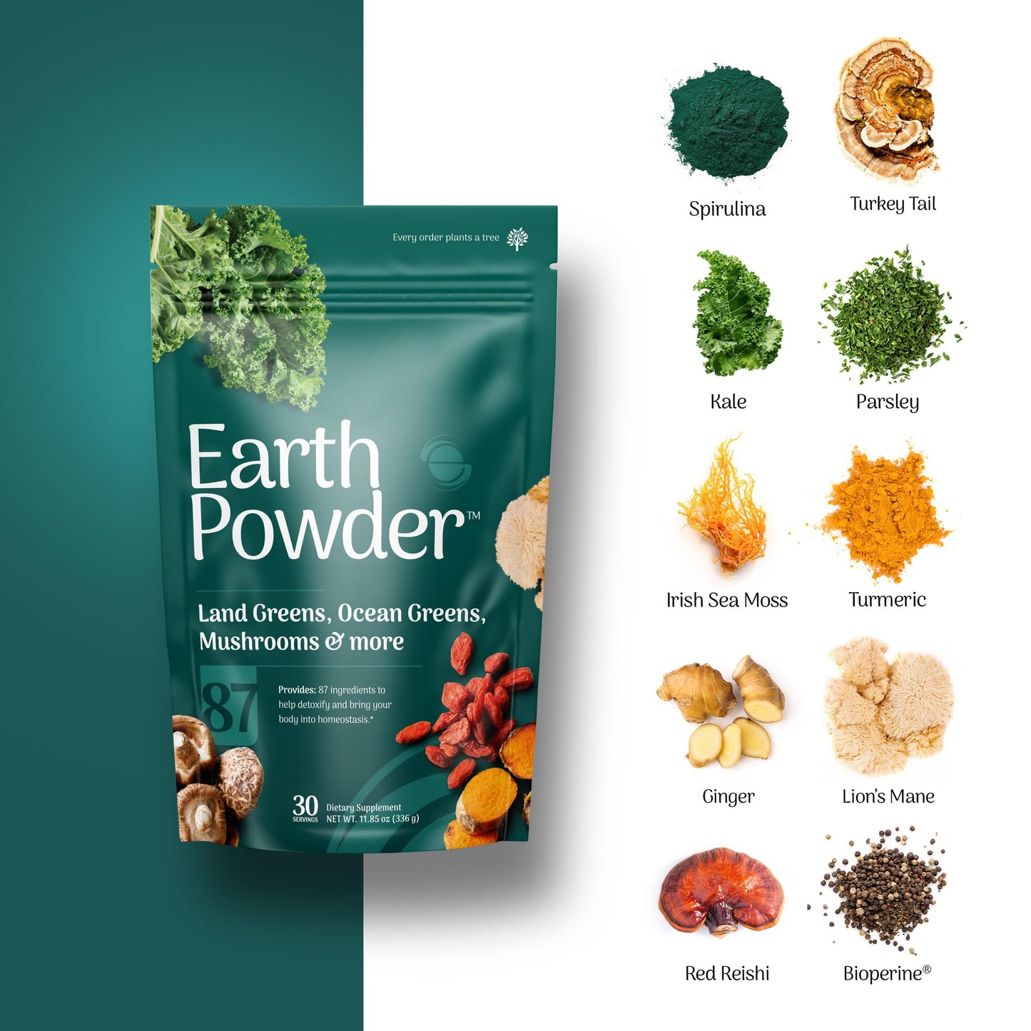 Earth Powder Daily Foundational Nutrition Supplement with 28 Greens & 10 Mushrooms | 87 Nutrients for Energy, Gut Health & Mental Clarity - Maple Wellness Supplements