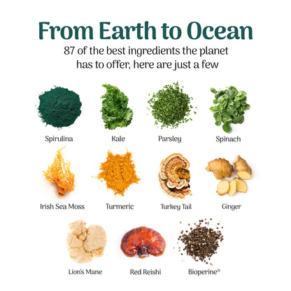 Earth Powder Daily Foundational Nutrition Supplement with 28 Greens & 10 Mushrooms | 87 Nutrients for Energy, Gut Health & Mental Clarity - Maple Wellness Supplements
