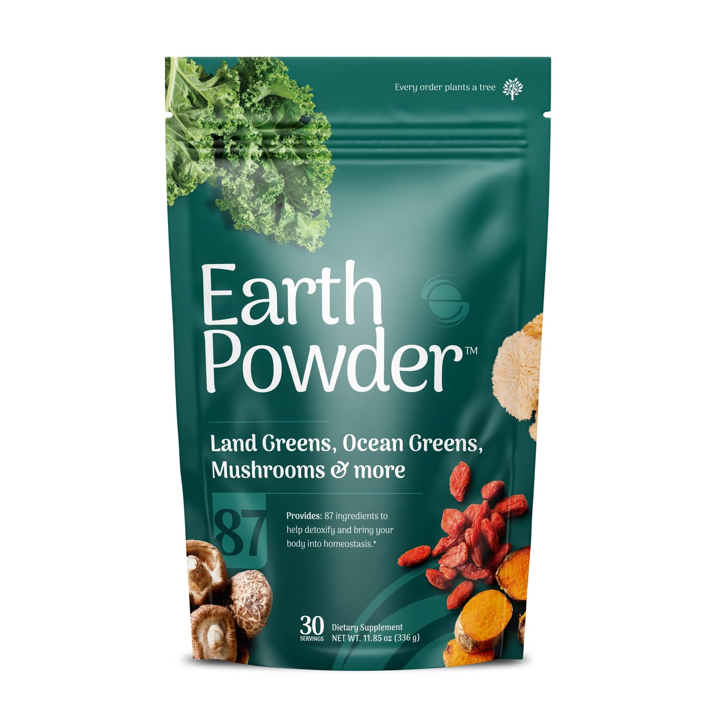 Earth Powder Daily Foundational Nutrition Supplement with 28 Greens & 10 Mushrooms | 87 Nutrients for Energy, Gut Health & Mental Clarity - Maple Wellness Supplements