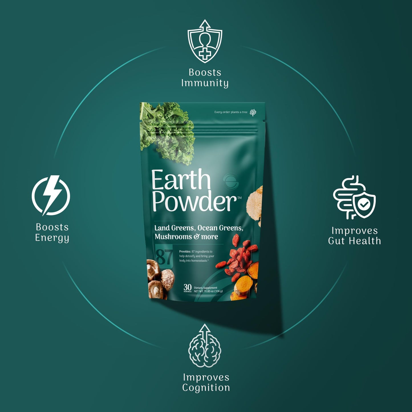 Earth Powder Daily Foundational Nutrition Supplement with 28 Greens & 10 Mushrooms | 87 Nutrients for Energy, Gut Health & Mental Clarity - Maple Wellness Supplements