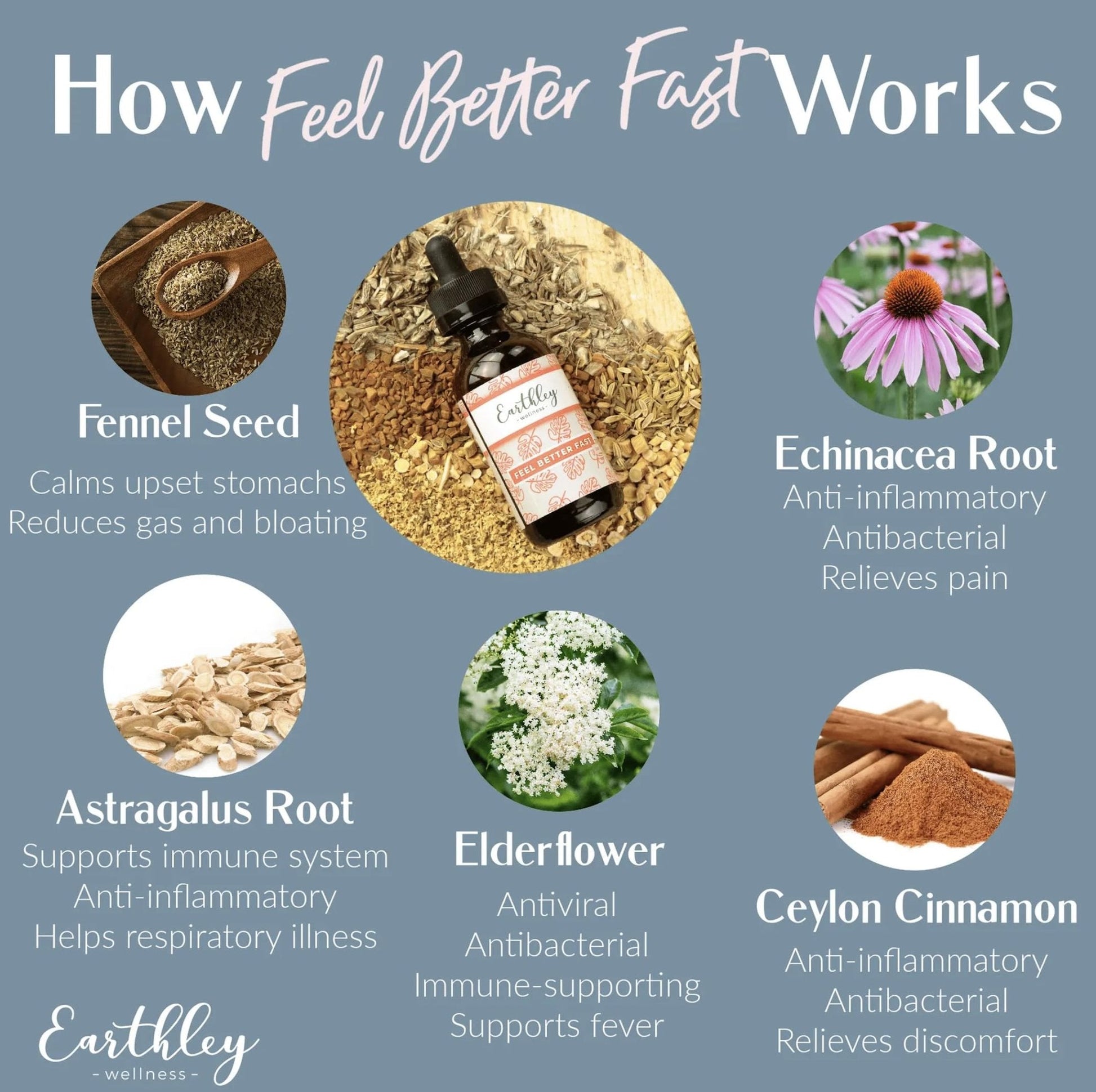 Earthley Wellness Feel Better Fast, All-Natural Relief for Minor Ailments, Organic Herbal Formula, Supports Immune & Digestive Health, Echinacea Root and More - Maple Wellness Supplements