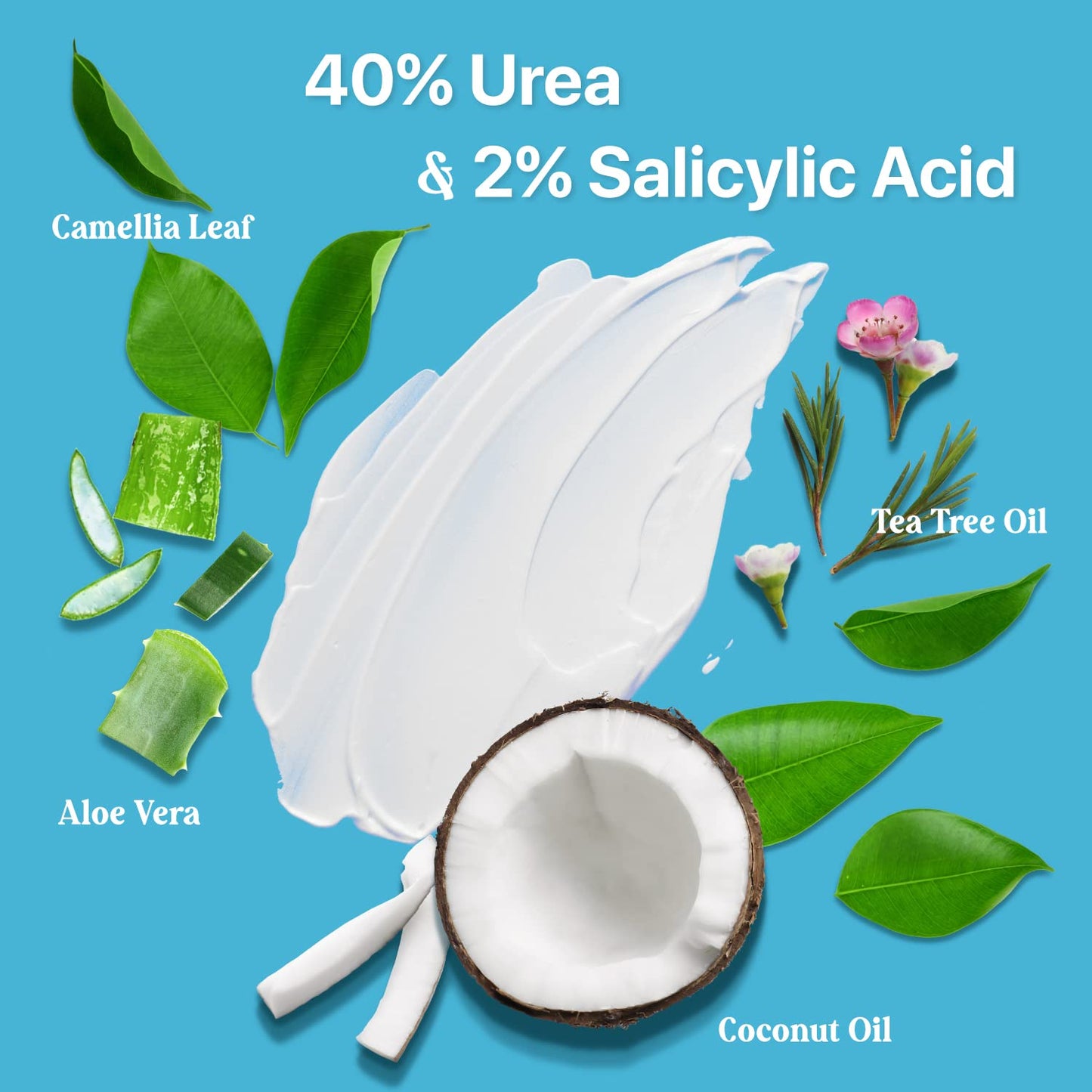 Ebanel Bundle of 2 Pack 40% Urea Cream 4.6 Oz, and Pain Relief Cream Arnica Menthol 2.28 Oz - Maple Wellness Supplements