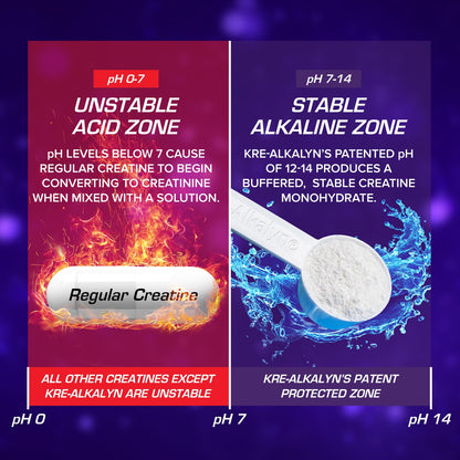 EFX Sports Kre-Alkalyn EFX Powder | pH Correct Creatine Monohydrate Powder Supplement | Strength, Muscle Growth & Performance | 66 Servings (Unflavored) - Maple Wellness Supplements