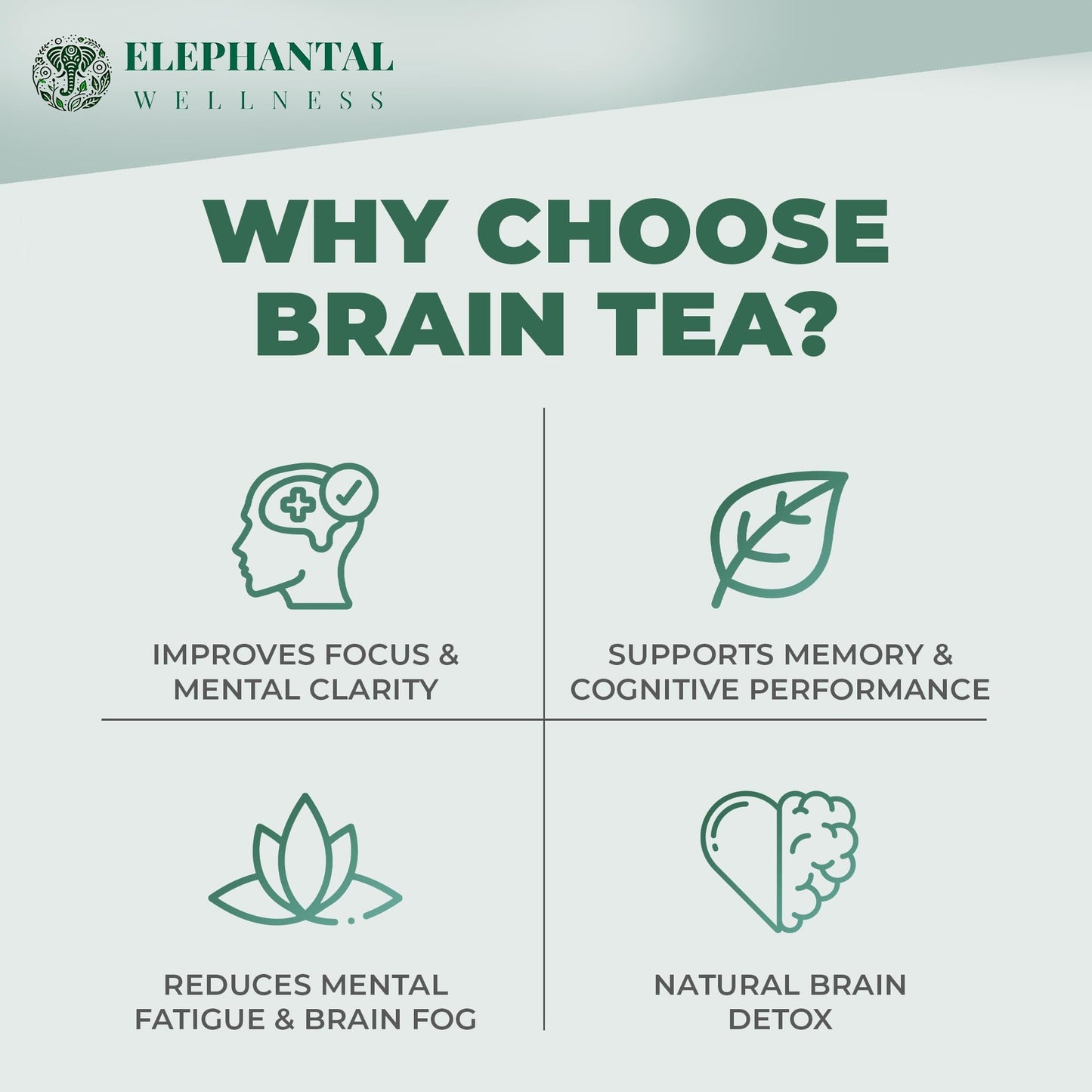 Elephantal Wellness Premium Brain Herbal Tea | Nootropic Focus & Mental Clarity with Ginkgo, Bacopa, Gotu Kola & Rosemary | Non-GMO, Caffeine-Free Coffee Alternative, Handmade Loose Leaf Blend, 2oz Loose Leaf, 20 Servings - Maple Wellness Supplements