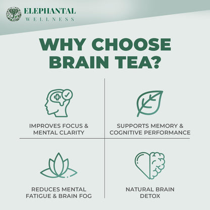 Elephantal Wellness Premium Brain Herbal Tea | Nootropic Focus & Mental Clarity with Ginkgo, Bacopa, Gotu Kola & Rosemary | Non-GMO, Caffeine-Free Coffee Alternative, Handmade Loose Leaf Blend, 2oz Loose Leaf, 20 Servings - Maple Wellness Supplements