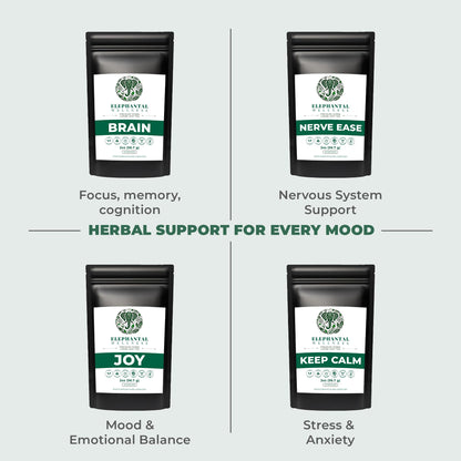 Elephantal Wellness Premium Brain Herbal Tea | Nootropic Focus & Mental Clarity with Ginkgo, Bacopa, Gotu Kola & Rosemary | Non-GMO, Caffeine-Free Coffee Alternative, Handmade Loose Leaf Blend, 2oz Loose Leaf, 20 Servings - Maple Wellness Supplements