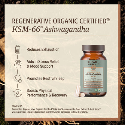 ELEVATE ORGANIC Regenerative Fermented KSM-66 Ashwagandha Vegan Capsules with Acti Veda™ (600mg, 30 Servings), Up to 150% More Effective Than KSM-66 Alone - Maple Wellness Supplements