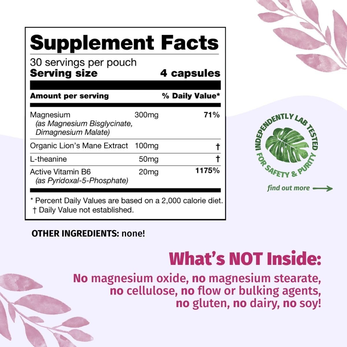 Enhanced Magnesium (Capsules) | Precise 300mg per Serving | Enhancement Blend: Organic Lion's Mane Extract, L-theanine, Active Vitamin B6 | 120 Capsules - by Organic Burst - Maple Wellness Supplements