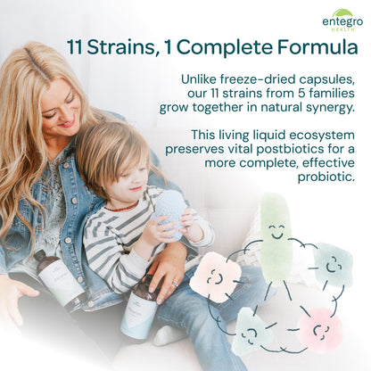 ENTEGRO Flourish Junior Liquid Probiotic & Postbiotic Supplement - Glass | 11 Live Cultures | Gut & Digestive Health for Women, Men & Kids | Organic, Vegan, Allergen Free | USA Made | 16 fl oz - Maple Wellness Supplements