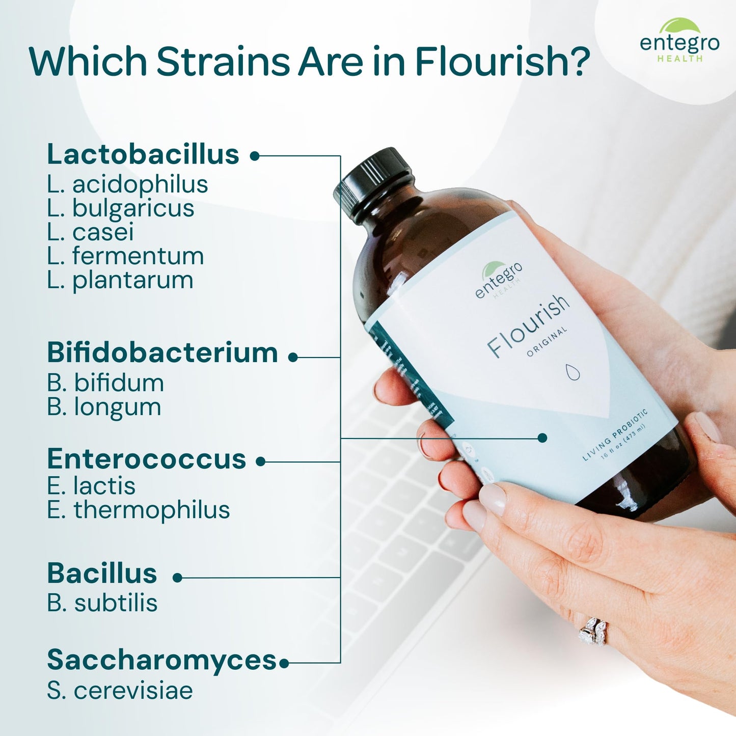 ENTEGRO Flourish Original Liquid Probiotic & Postbiotic Supplement - Glass | 11 Live Cultures | Gut & Digestive Health for Women, Men & Kids | Organic, Vegan - Maple Wellness Supplements