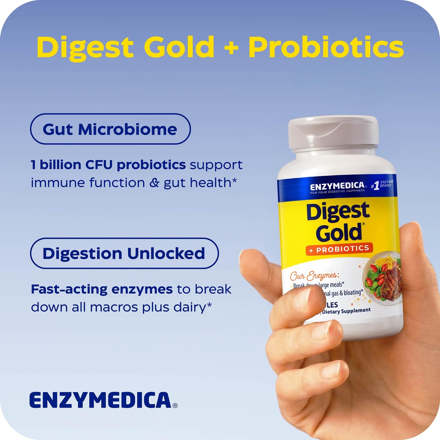 Enzymedica Digest Gold + Probiotics - Digestive Enzyme Supplement for Women & Men, Enzyme and Probiotic Capsules for Digestion, Gut Health Support, - Maple Wellness Supplements