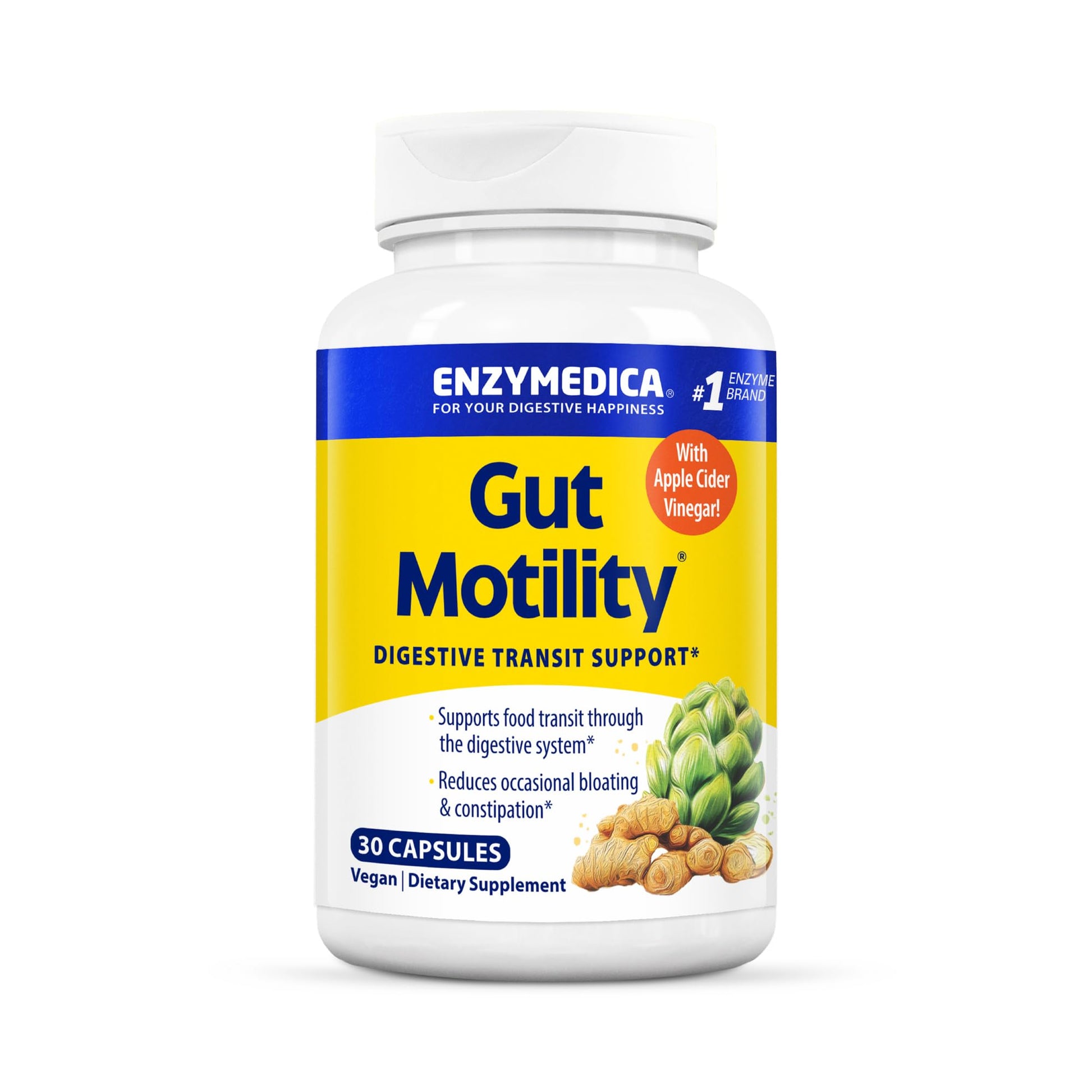 Enzymedica Gut Motility Supplement for Men & Women - Apple Cider Vinegar Capsules with Artichoke & Ginger Extract, Digestive Health Support for Adults - Maple Wellness Supplements