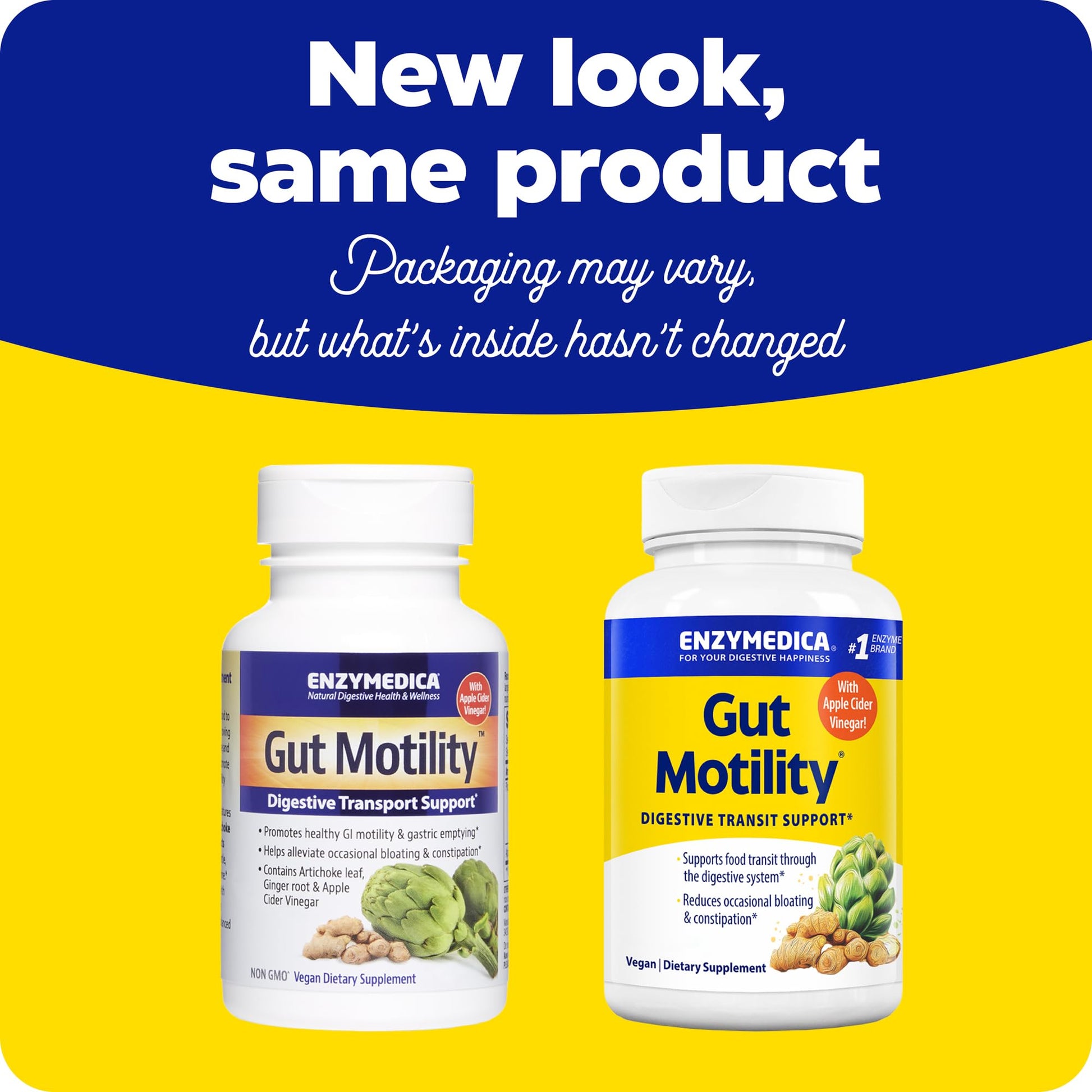 Enzymedica Gut Motility Supplement for Men & Women - Apple Cider Vinegar Capsules with Artichoke & Ginger Extract, Digestive Health Support for Adults - Maple Wellness Supplements