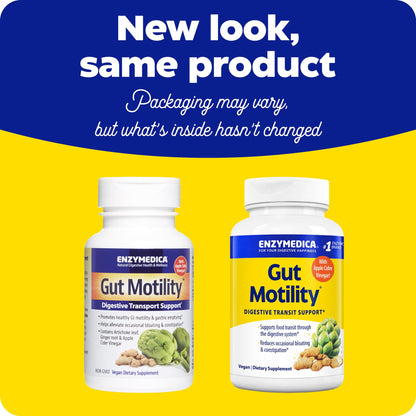 Enzymedica Gut Motility Supplement for Men & Women - Apple Cider Vinegar Capsules with Artichoke & Ginger Extract, Digestive Health Support for Adults - Maple Wellness Supplements