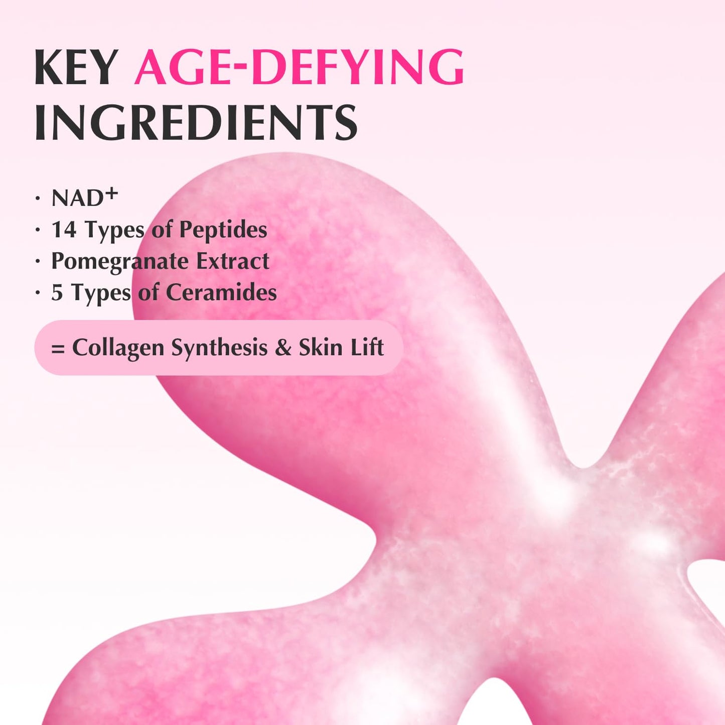 EQQUALBERRY NAD+ Peptide Boosting Serum – Niacinamide 2% + 14 Peptides + Vegan Collagen Anti-Aging Korean Skincare Face - Maple Wellness Supplements