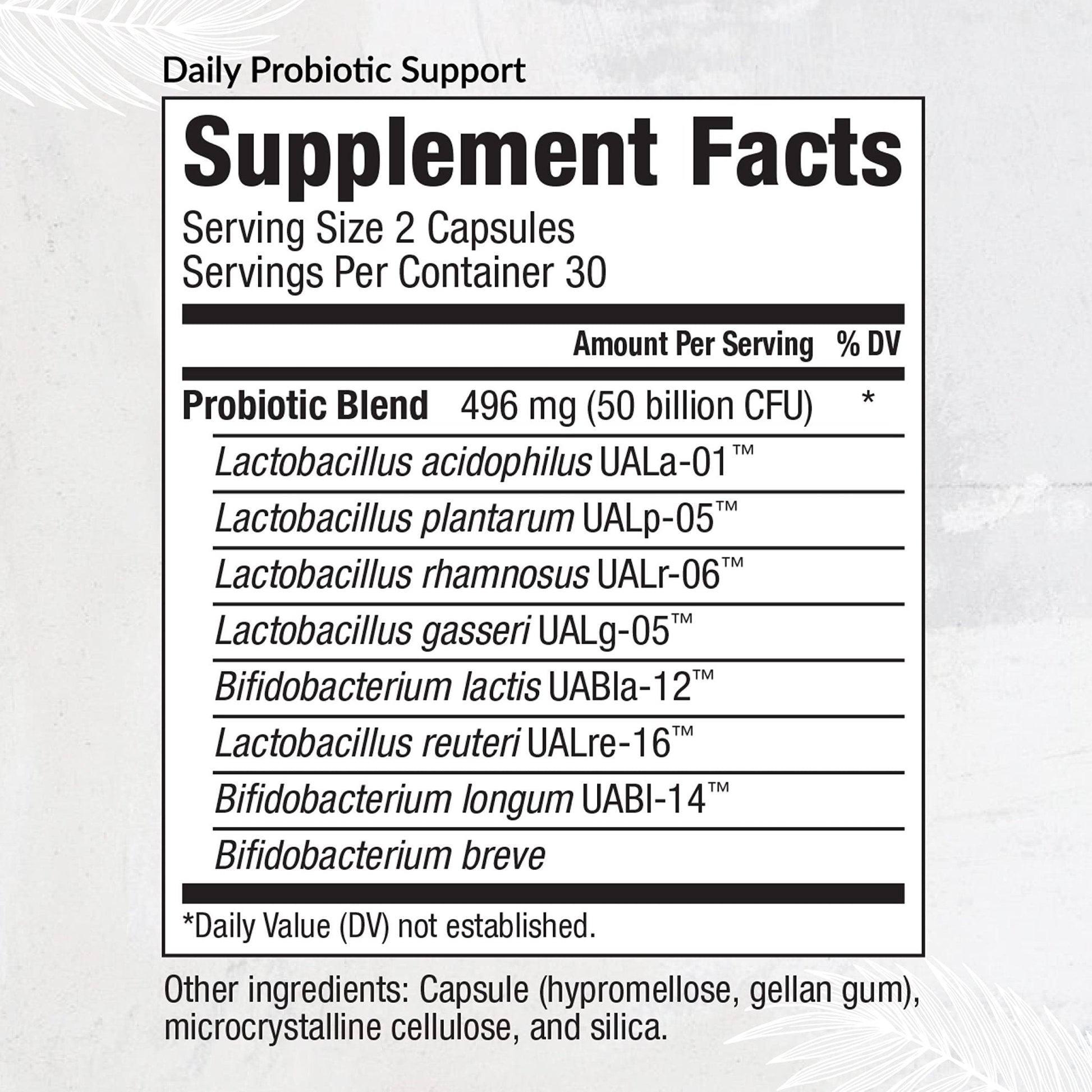 Equilife Daily Probiotic Support, 50 Billion CFU, 8 Probiotic Strains, Digestive and Gut Health Supplement for Men and Women, Gluten Free, Soy and Dairy Free - Maple Wellness Supplements