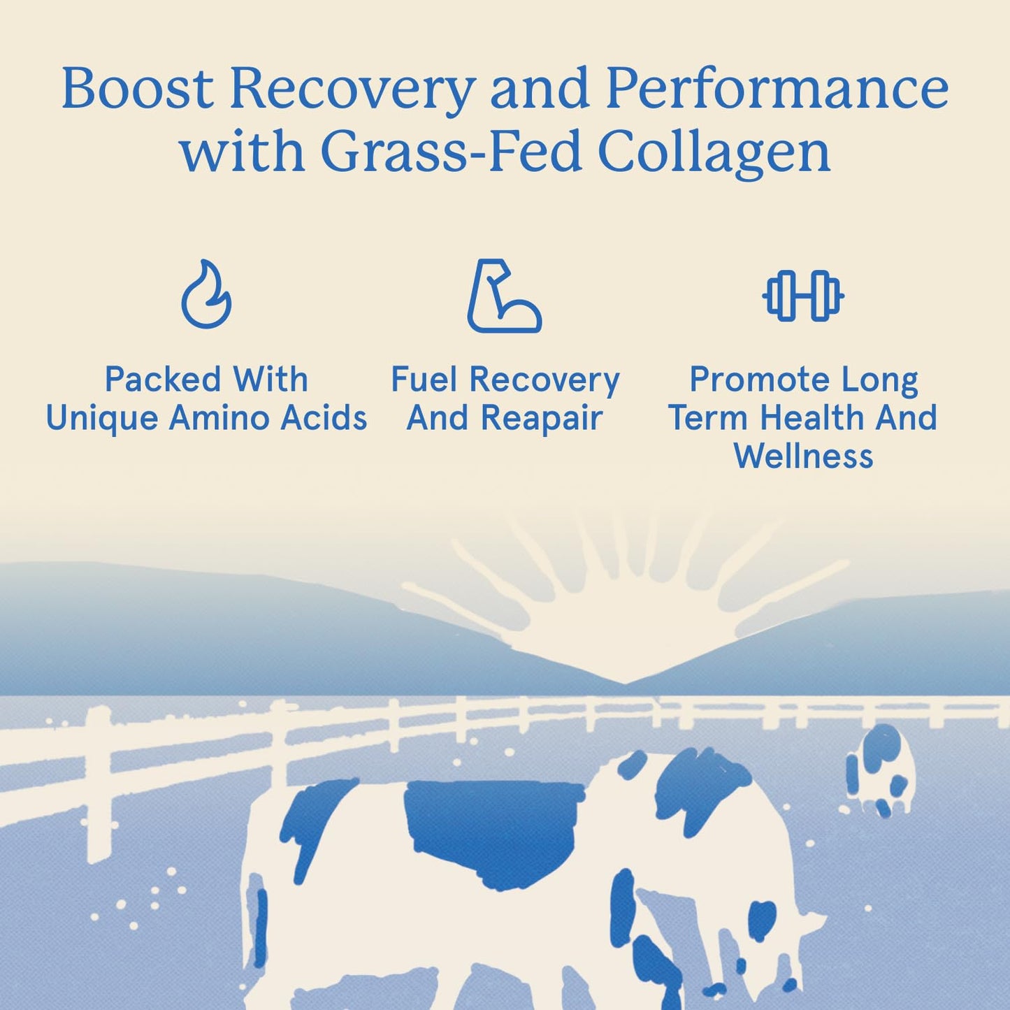 Equip Foods Grass Fed Collagen Powder | Hydrolyzed Bovine Collagen Peptides with Amino Acids | Prime Beef Collagen for Healthy Joints, Skin & Nails | Non-GMO, Paleo Friendly - Maple Wellness Supplements