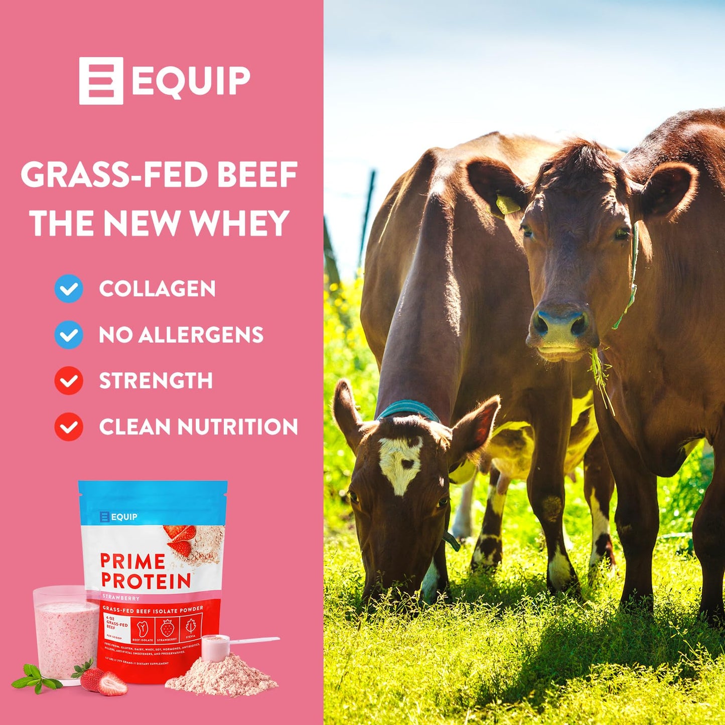 Equip Foods Prime Protein - Grass-Fed Beef Protein Powder Isolate -Paleo and Keto - Maple Wellness Supplements