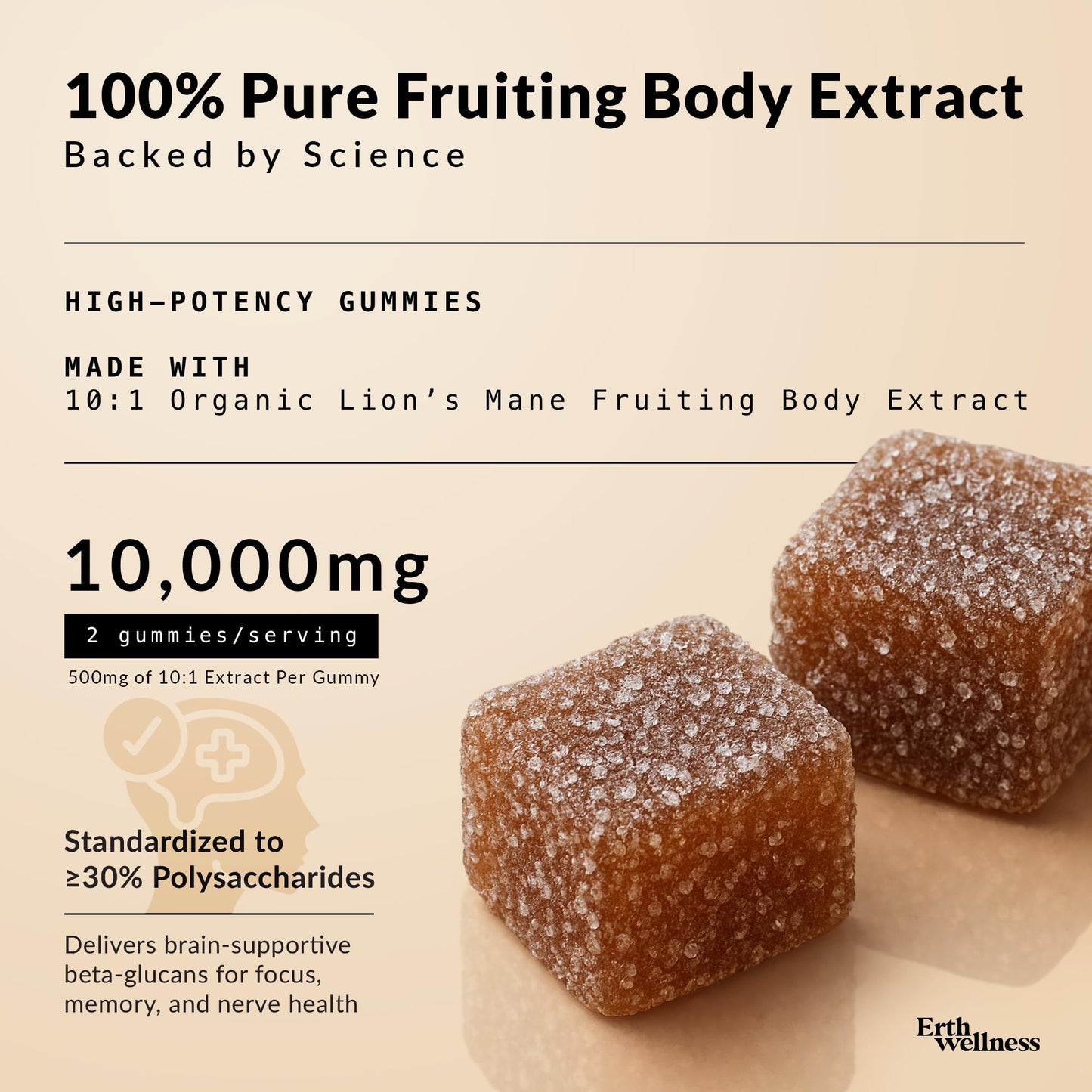 Erth Wellness Lion’s Mane Mushroom Gummies – 10,000mg Fruiting Body Extract per Serving – Brain & Focus Support – Daily Nootropic – Vegan, Low Sugar, Non-GMO – 60 Ct - Maple Wellness Supplements