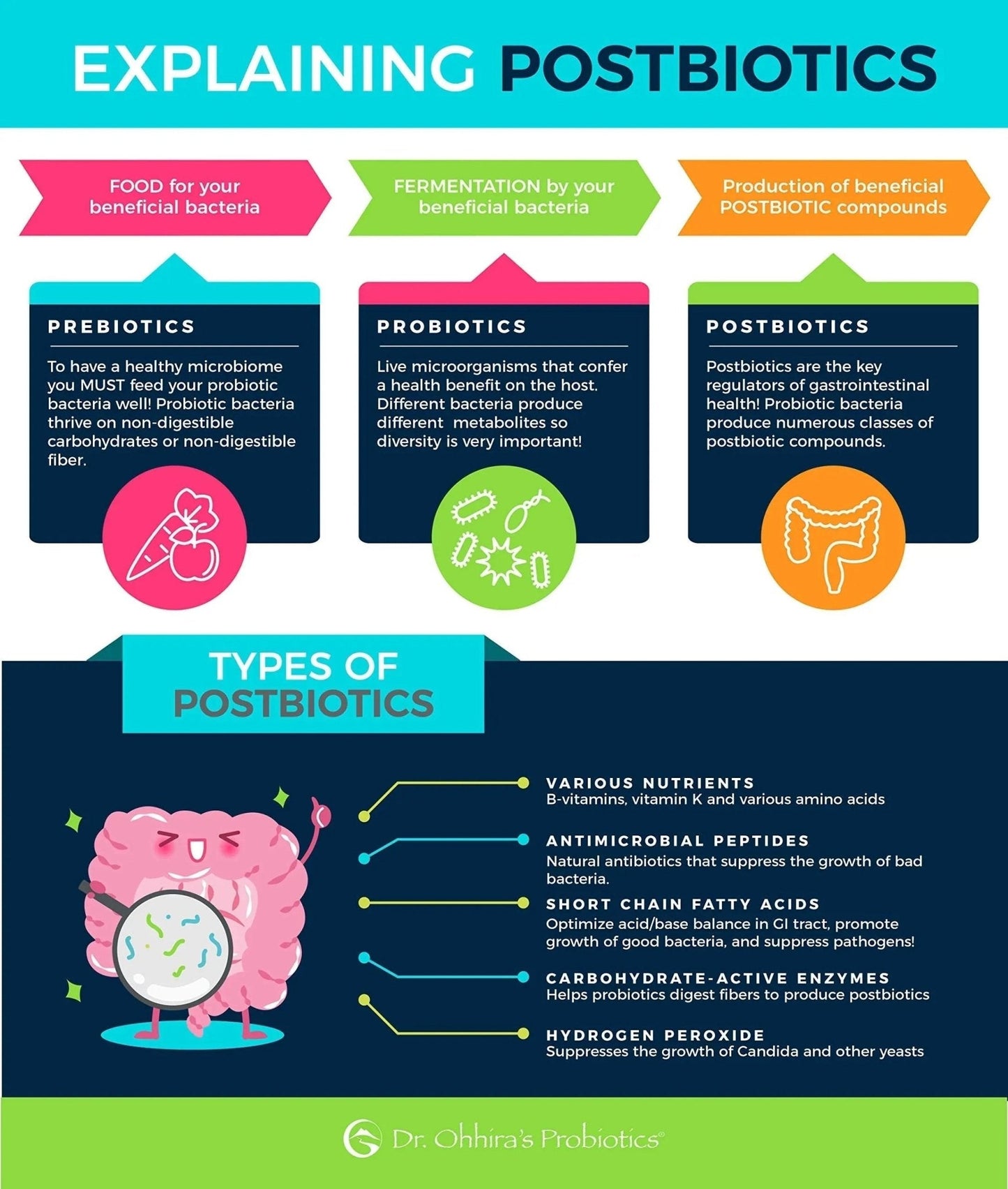 Essential Formulas Dr. Ohhira’s Probiotics Professional Formula with 5 Year Fermented Prebiotics, Live Active Probiotics and The only Product with Postbiotic Metabolites, 60 Capsules - Maple Wellness Supplements