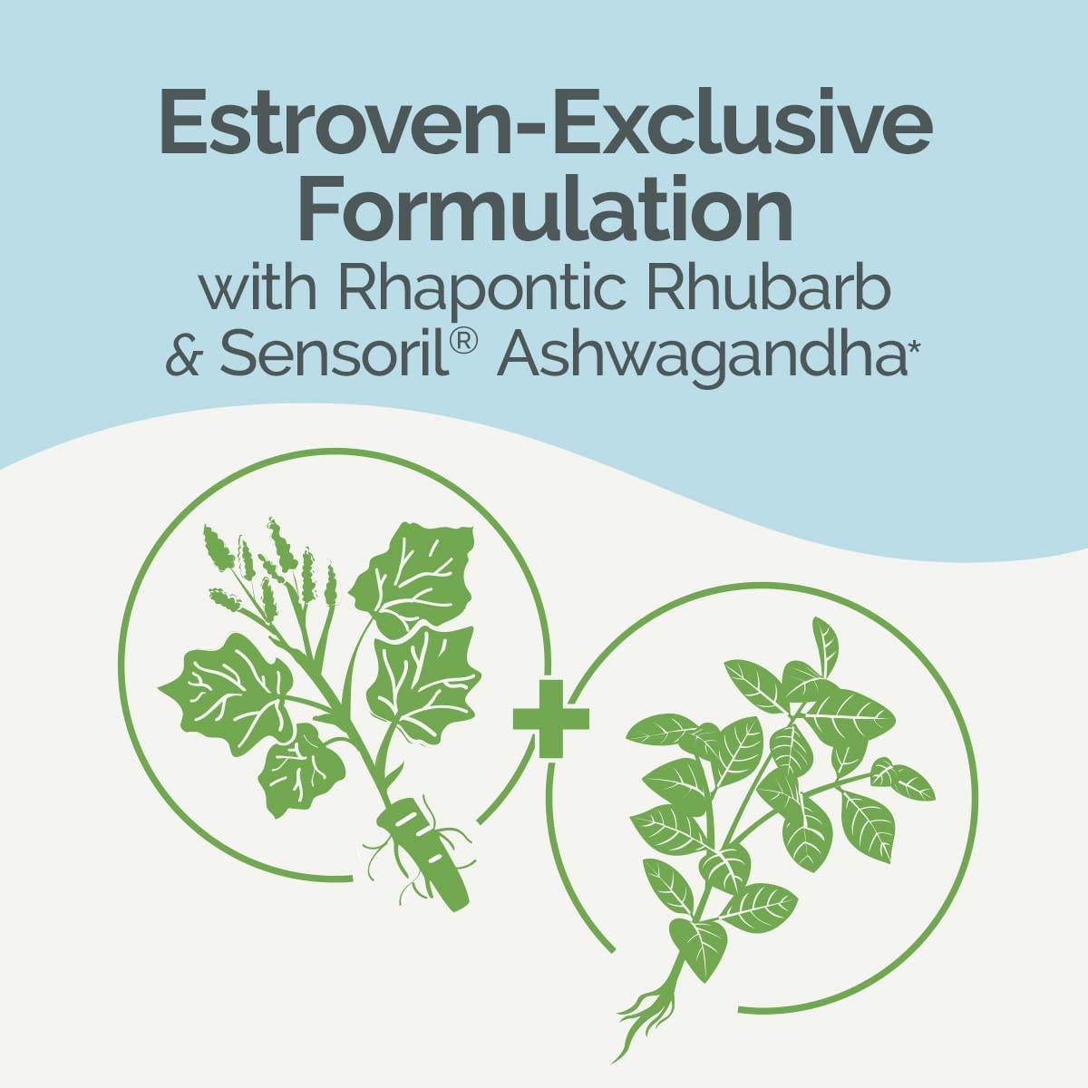 Estroven Complete + Ashwagandha Multi-Symptom Menopause Supplement for Women - 60 Ct. - Clinically Proven Ingredients Provide Menopause Relief & Night Sweats + Hot Flash Relief* - Drug-Free & Non-GMO - Maple Wellness Supplements