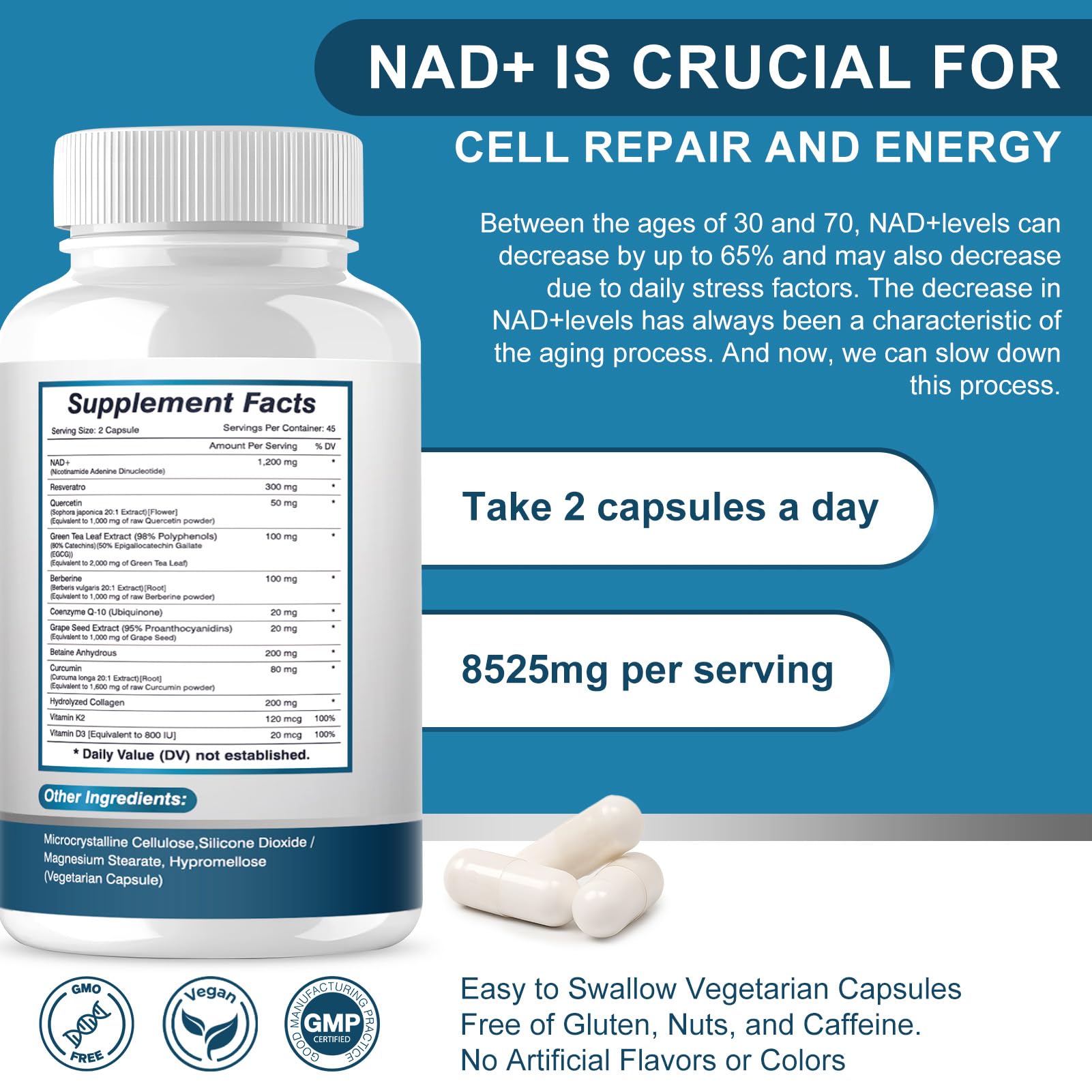 ETOVO NAD+ Supplement, 8525 mg Liposomal NAD Resveratrol Supplement for Women and Men with Coptisine Quercetin Curcumin Supports Cellular Health, Energy & Healthy Anti-Aging 180 Counts - Maple Wellness Supplements