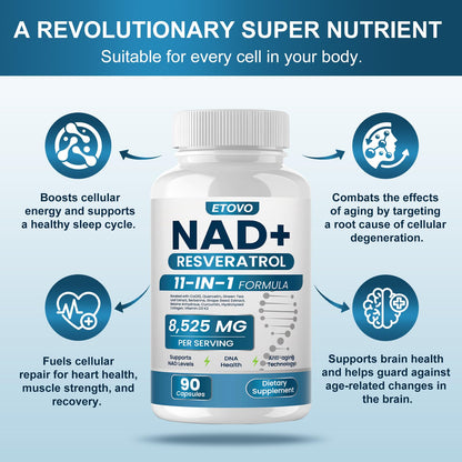 ETOVO NAD+ Supplement, 8525 mg Liposomal NAD Resveratrol Supplement for Women and Men with Coptisine Quercetin Curcumin Supports Cellular Health, Energy & Healthy Anti-Aging 180 Counts - Maple Wellness Supplements