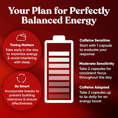 Eu Natural Elite Caffeine Pills with L-Theanine - 100mg Caffeine + 200mg L-Theanine - Jitter-Free Focused Energy & Clean Nootropic Stack - 240 Soft Capsules - Maple Wellness Supplements
