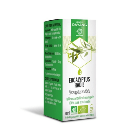 Eucalyptus Radiata Organic Essential Oil - DAYANG - Maple Wellness Supplements