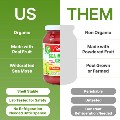 EverSmith Organics - Wildcrafted Irish Sea Moss Gel | Made in USA | Rich in Vitamins - Maple Wellness Supplements