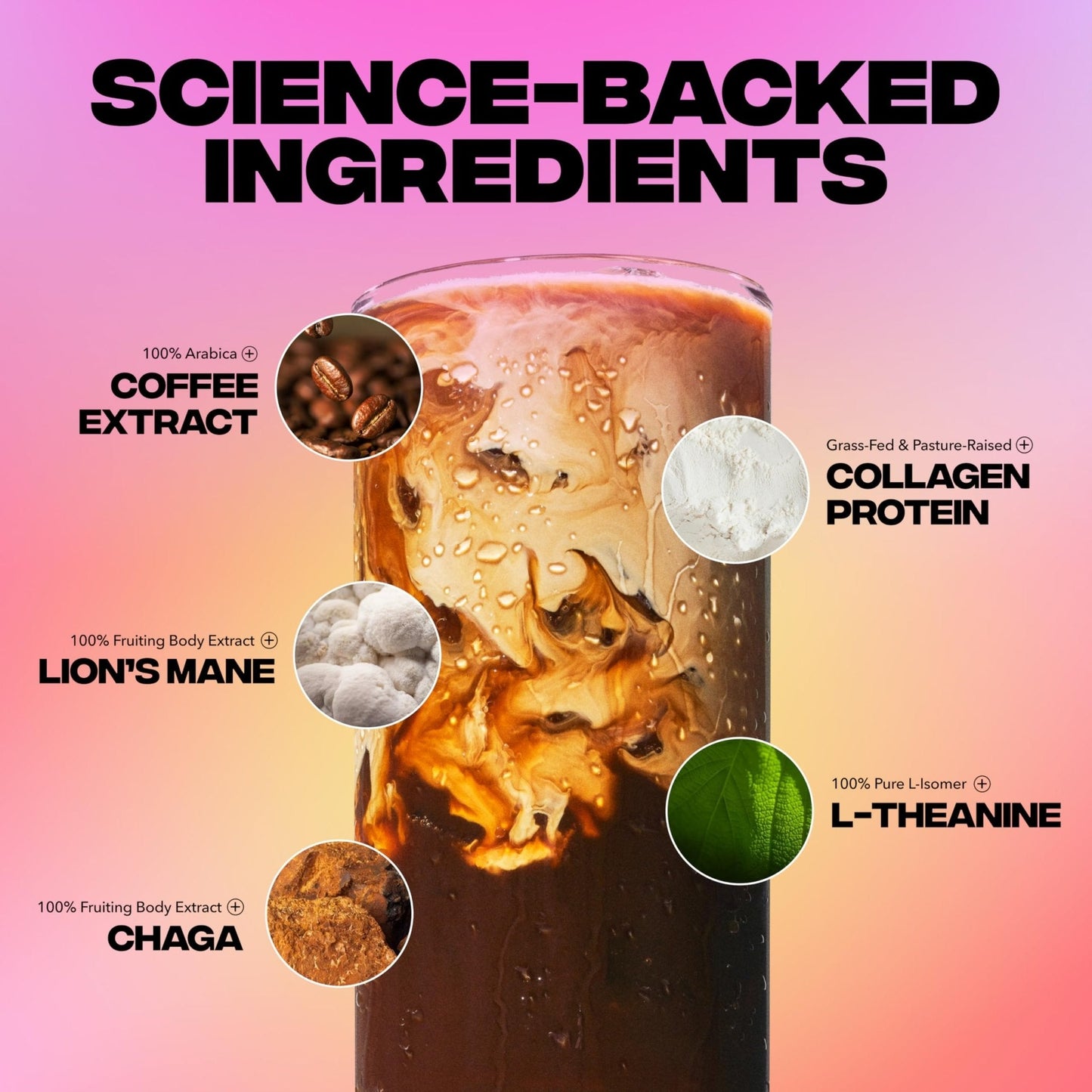 Everyday Dose Premium Adaptogenic Mushroom Coffee with Grass-Fed Collagen, Chaga, Lions Mane & L-Theanine for Better Focus, Energy, Digestion, Skin, and Immunity 30 Servings - Maple Wellness Supplements