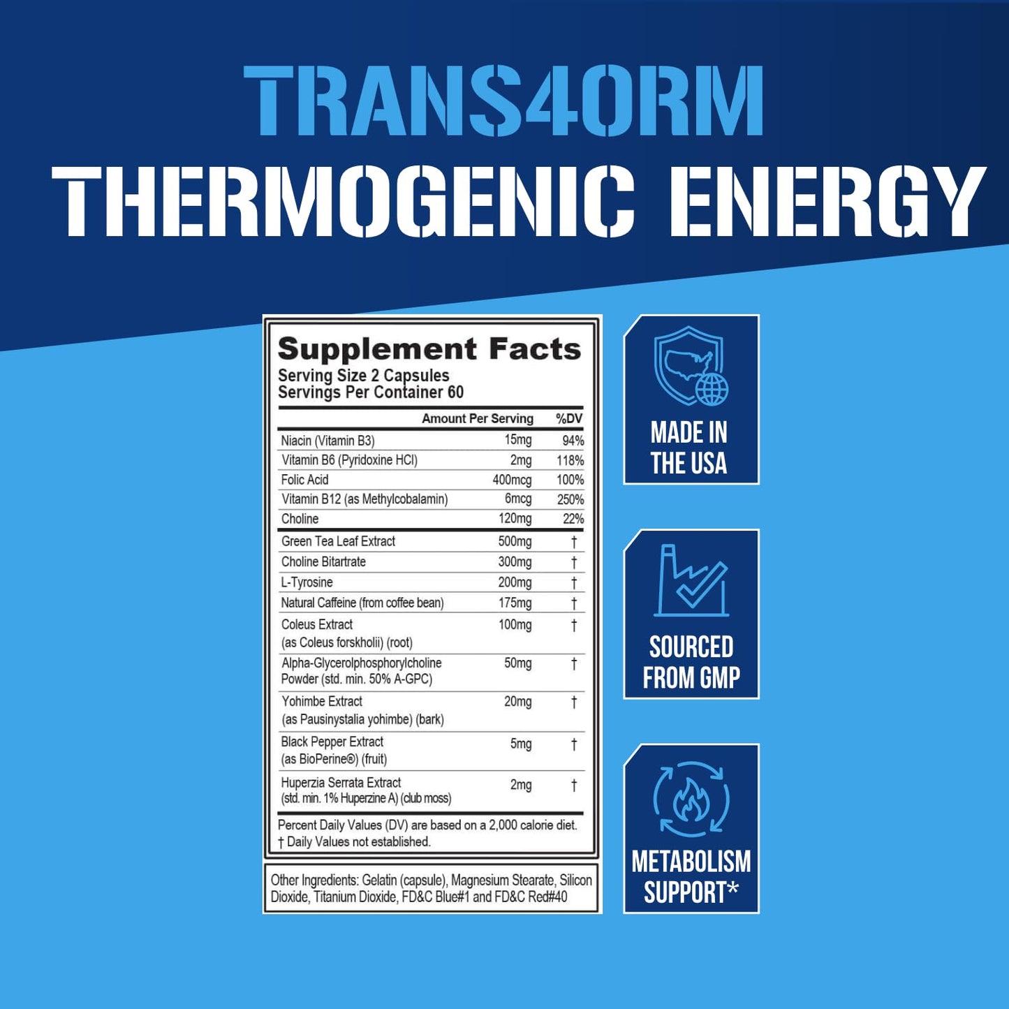 EVL Thermogenic Fat Burner Support - Fast Acting Weight Loss Energy and Appetite Support - Trans4orm Green Tea Supplement - Maple Wellness Supplements